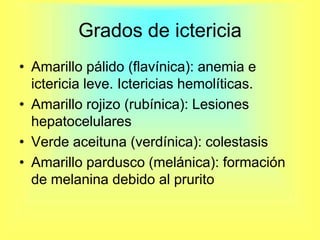 Grados de ictericiaAmarillo pálido (flavínica): anemia e ictericia leve. Ictericias hemolíticas.Amarillo rojizo (rubínica): Lesiones hepatocelularesVerde aceituna (verdínica): colestasisAmarillo pardusco (melánica): formación de melanina debido al prurito