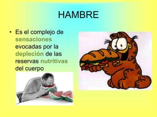 HAMBREEs el complejo de sensaciones evocadas por la depleción de las reservas nutritivas del cuerpo