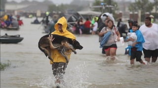 Lessons Learned in the Aftermath of Hurricanes Harvey & Irma
