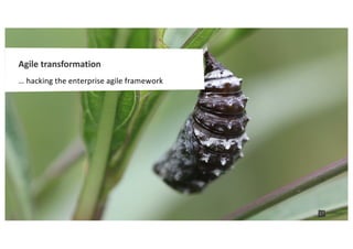 Agile transformation
… hacking the enterprise agile framework
 