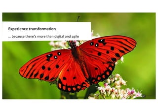 Experience transformation
… because there’s more than digital and agile
 