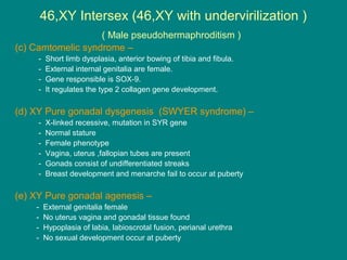 Intersex | PPT