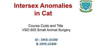 Intersex Anomalies
in Cat
Course Code and Title
VSO 605 Small Animal Surgery
ID : 19VS-JJ15M
& 19VS-JJ16M
 