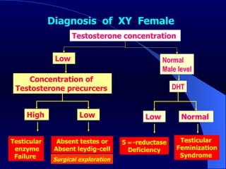 Diagnosis  of  XY  Female   Testosterone concentration  Normal Male level DHT Normal  Low  Testicular  Feminization Syndrome  5   -reductase Deficiency Low  Concentration of  Testosterone precurcers   Low  High  Absent testes or Absent leydig-cell   Testicular enzyme Failure  Surgical exploration   