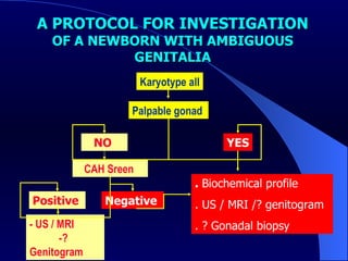 A PROTOCOL FOR INVESTIGATION  OF A NEWBORN WITH AMBIGUOUS GENITALIA Karyotype all Palpable gonad  YES NO  CAH Sreen  Positive  - US / MRI  -? Genitogram  Negative  .  Biochemical profile . US / MRI /? genitogram . ? Gonadal biopsy  