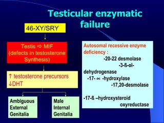 Testicular enzymatic failure 46-XY/SRY  Testis    MIF (defects in testosterone Synthesis)    testosterone precursors   DHT Male  Internal Genitalia  Ambiguous  External Genitalia   Autosomal recessive enzyme deficiency :  -20-22 desmolase  -3- ß -ol-dehydrogenase  -17-    -hydroxylase  -17,20-desmolase  -17- ß  –hydroxysteroid  oxyreductase 