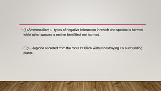 • (4) Ammensalism :- types of negative interaction in which one species is harmed
while other species is neither benifitted nor harmed.
• E.g:- Juglone secreted from the roots of black walnut destroying it’s surrounding
plants.
 