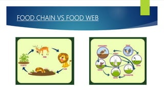 FOOD CHAIN VS FOOD WEB
 