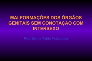 MALFORMAÇÕES DOS ÓRGÃOS
GENITAIS SEM CONOTAÇÃO COM
INTERSEXO
Prof. Marco Fábio Prata Lima
 