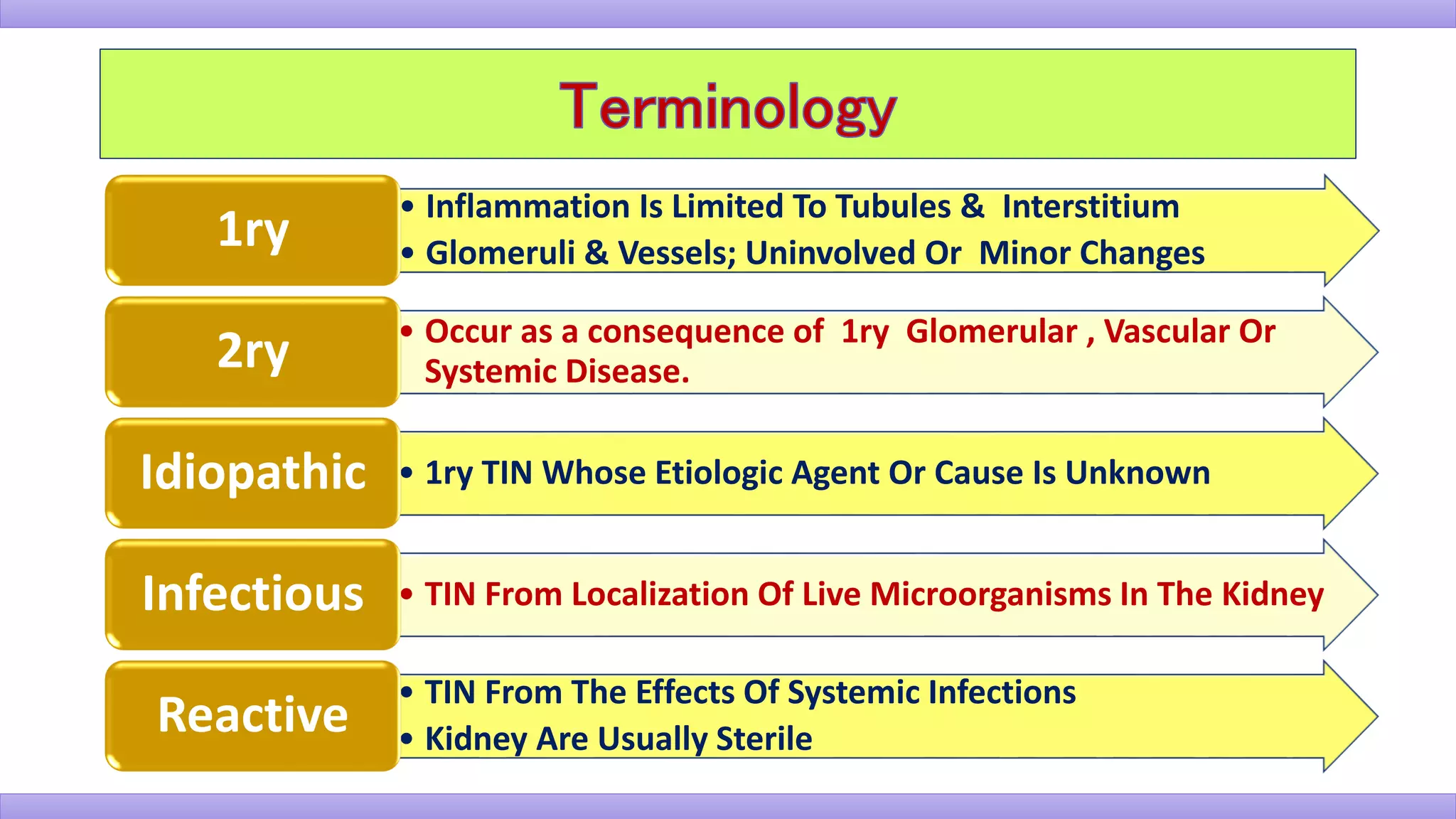 • Inflammation Is Limited To Tubules & Interstitium
• Glomeruli & Vessels; Uninvolved Or Minor Changes1ry
• Occur as a consequence of 1ry Glomerular , Vascular Or
Systemic Disease.2ry
• 1ry TIN Whose Etiologic Agent Or Cause Is UnknownIdiopathic
• TIN From Localization Of Live Microorganisms In The KidneyInfectious
• TIN From The Effects Of Systemic Infections
• Kidney Are Usually Sterile
Reactive
 