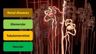 Glomerular
Tubulointerstitial
Vascular
Renal diseases
 