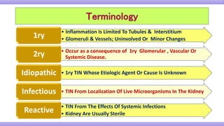 • Inflammation Is Limited To Tubules & Interstitium
• Glomeruli & Vessels; Uninvolved Or Minor Changes1ry
• Occur as a consequence of 1ry Glomerular , Vascular Or
Systemic Disease.2ry
• 1ry TIN Whose Etiologic Agent Or Cause Is UnknownIdiopathic
• TIN From Localization Of Live Microorganisms In The KidneyInfectious
• TIN From The Effects Of Systemic Infections
• Kidney Are Usually Sterile
Reactive
 