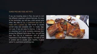 GUINEA PIGS ARE FOOD, NOT PETS
If you are traveling alone in Peru, be sure to visit
the different important cultural festivals. On many
of the festivities, you will see a dish served quite
often. We refer to Cuy, a traditional dish that is
made with a guinea pig. The animal is usually
served crisp and complete with its heads, legs,
and eyes. If you are easy to impress, it may be a
bit shocking, but it is an incredibly delicious dish.
Among the different facts about Peru, you will find
that the Cuy is a traditional dish of great
importance in the Andean regions. The dish is rich
in protein and is usually quite healthy. A great
option to experience something new.
 