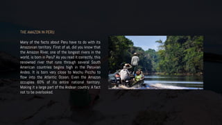 THE AMAZON IN PERU
Many of the facts about Peru have to do with its
Amazonian territory. First of all, did you know that
the Amazon River, one of the longest rivers in the
world, is born in Peru? As you read it correctly, this
renowned river that runs through several South
American countries begins high in the Peruvian
Andes. It is born very close to Machu Picchu to
flow into the Atlantic Ocean. Even the Amazon
occupies 60% of its entire national territory.
Making it a large part of the Andean country. A fact
not to be overlooked.
 