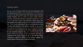 POTATOES VARIETY
Are you a fan of French Fries? Or just from Potatoes? Then
you should know that Peru is the birthplace of the Potatoe. It
is one of the facts about Peru that tends to go unnoticed
among tourists. Peru is home to some 4,000 different
varieties of potatoes, being an inevitable ingredient in most
of its traditional dishes. The delicious tubers have been
dominated in this region of the world for at least 8,000 years
old. So it is not surprising to think that there are so many
varieties and classes in the Andean country. In any market
you step on, it’s not new that they have at least 12 different
potatoes for sale, whether it’s for frying, boiling, or cooking.
In the wonderful Imperial City, you will find many typical
dishes where the potato is the protagonist. Be sure to
experience the many things to do in the Sacred Valley,
including its delicious dishes. In the Andean regions, the
potato takes a leading role in traditional dishes.
 