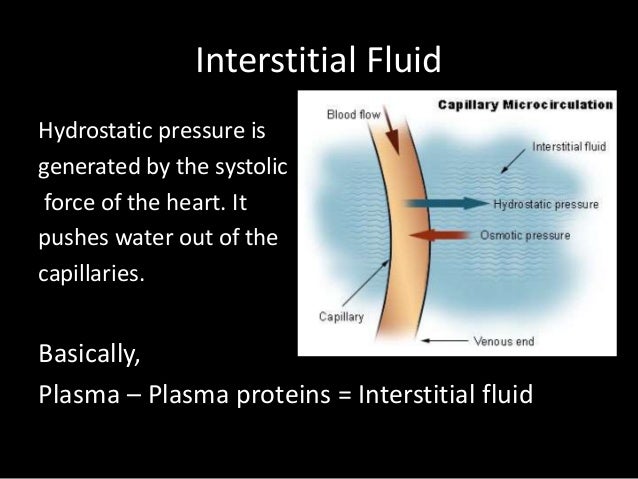 What causes hydrostatic pressure in the blood?