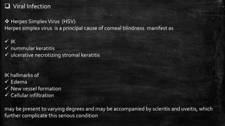  Viral Infection
 Herpes SimplexVirus (HSV)
Herpes simplex virus is a principal cause of corneal blindness manifest as
 IK
 nummular keratitis
 ulcerative necrotizing stromal keratitis
IK hallmarks of
 Edema
 New vessel formation
 Cellular infiltration
may be present to varying degrees and may be accompanied by scleritis and uveitis, which
further complicate this serious condition
 