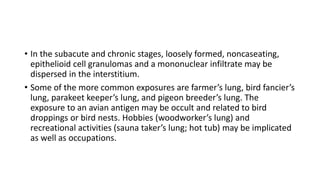 • In the subacute and chronic stages, loosely formed, noncaseating,
epithelioid cell granulomas and a mononuclear infiltrate may be
dispersed in the interstitium.
• Some of the more common exposures are farmer’s lung, bird fancier’s
lung, parakeet keeper’s lung, and pigeon breeder’s lung. The
exposure to an avian antigen may be occult and related to bird
droppings or bird nests. Hobbies (woodworker’s lung) and
recreational activities (sauna taker’s lung; hot tub) may be implicated
as well as occupations.
 