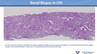 interstitial nephritis,acute and chronic | PPTX