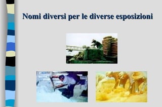 Nomi diversi per le diverse esposizioni 
