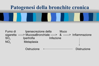 Patogenesi della bronchite cronica Fumo di    Ipersecrezione della   Muco sigaretta  -----> MucosaBronchiale ----->  &  ------>  Infiammazione SO 2  Ipertrofia  Infezione NO 2   Metaplasia   Ostruzione   Distruzione 