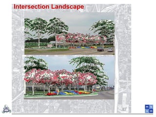 Intersection Landscape
 