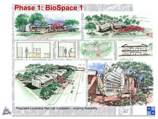 Phase 1: BioSpace 1
Proposed Louisiana Wet Lab Incubator – ongoing feasibility
 