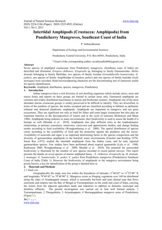 Journal of Natural Sciences Research                                                        www.iiste.org
ISSN 2224-3186 (Paper) ISSN 2225-0921 (Online)
Vol.1, No.1, 2011
        Intertidal Amphipods (Crustacea: Amphipoda) from
         Pondicherry Mangroves, Southeast Coast of India
                                                     P. Satheeshkumar

                          Department of Ecology and Environmental Sciences

                          Pondicherry Central University, P.O. Box 60501, Pondicherry, India

                            * Email of the corresponding author: revathysathish86@gmail.com
Abstract
Seven species of amphipod crustaceans from Pondicherry mangroves, (Southeast coast of India) are
described and illustrated. Eriopisa chilkensis, Eriopisella sp, belonging to family Gammaroidea. Melita
dentada belonging to family Melitidae, two species of family Aoridae (Grandidierella bonnieroides, G.
pathyi), one species of family Ampithoidae (Cymadusa pathyi) and one species of family Isaeidae (Isala
montagui) were recorded. Head microsculpturing characters are the discriminating sets of characters useful
for species identification.
Keywords: Amphipod, distribution, species, mangroves, Pondicherry
1. Introduction
          Indian mangroves have a rich diversity of soil dwelling organisms which include micro, meio and
macro forms and reports on these groups are limited to certain areas only. Gammarid amphipods are
common and widely distributed macrofauna in marine and freshwater systems. Amphipods one of the most
abundant marine crustacean groups is widely perceived to be difficult to identify. They are diversified, in
terms of the numbers of species, the niches occupied and are classified according to habitats as epifaunal,
infaunal and demersal planktonic amphipods. Amphipods are important in mangrove and sea grass
ecosystems. They are significant not only as food for fishes and some larger crustaceans but also play an
important function in the decomposition of wastes and in the cycle of nutrients (Robertson and Mann
1980). Amphipods being endemic in many environments, their biodiversity is used to assess the health of a
biotope as well (Mondal et al. 2010). Amphipods also play different roles in the trophodynamic
relationship, as primary consumers, omnivores, carnivores and opportunistic feeders, and change feeding
modes according to food availability (Wongkamhaeng et al. 2009). The spatial distribution of species
varies according to the availability of food and the protection against the predators and the waves.
Availability of seaweeds and algae is an important determining factor to the species composition and the
diversity of gammaridean amphipods in the brackish water environments (Fenchel and Kolding 1979).
Surya Rao (1972) studied the intertidal amphipods from the Indian coast, and he only reported
gammaridean species. Few studies have been performed about tropical gammarids (Lyla et al. 1998;
Kathiresan 2000; Wongkamhaeng et al. 2009; Mondal et al. 2010). The potential for unrecorded
biodiversity is illustrated by the number of new species recorded in recent partial surveys. This report
presents the details on seven species of marine amphipod fauna – E. chilkensis, Eriopisella sp, M. dentada,
I. montagui, G. bonnieroides, G. pathyi, C. pathyi from Pondicherry mangroves (Pondicherry) Southeast
Coast of India (Table 1). However the biodiversity of amphipods in the mangrove environment being
poorly known, a key for identification of the group is detailed here in.
2. Materials and Methods
2.1 Study site
                                                                                  o              o
          Geographically the study area lies within the boundaries of latitudes 11 46’03” to 11 53’40” N
                   o             o
and longitudes 79 49’45” to 79 48’00” E. Mangrove exists as fringing vegetation over 168 ha distributed
along the sides of Ariankuppam estuary, which is seasonally bar-built and semi diurnal type that flows
eastwards and empties into the Bay of Bengal at Veerampatinam on the south east coast of India, carrying
the wastes from the adjacent agriculture lands and industries in addition to domestic municipal and
distillery effluents. The present investigation was carried out in four well formed stations: 1
Veerampattinam; 2 Thengaithittu; 3 Ariyankuppam; 4 Murungapakkam mangrove areas of Pondicherry
(Figure 1.).
34 | P a g e
www.iiste.org
 