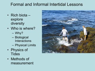 Intertidal lessons