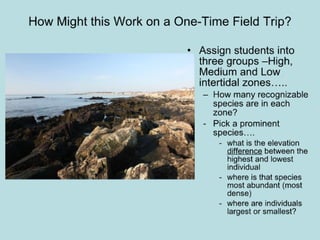 Intertidal lessons