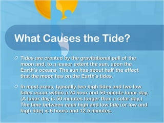 Intertidal powerpoint (compatibility copy) | PPT