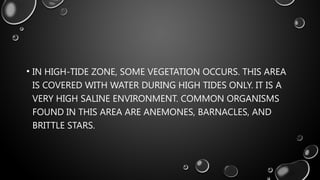 • IN HIGH-TIDE ZONE, SOME VEGETATION OCCURS. THIS AREA
IS COVERED WITH WATER DURING HIGH TIDES ONLY. IT IS A
VERY HIGH SALINE ENVIRONMENT. COMMON ORGANISMS
FOUND IN THIS AREA ARE ANEMONES, BARNACLES, AND
BRITTLE STARS.
 