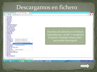 Descargamos en fichero

Hacemos clic derecho en el fichero
“reproduccion_vir.dat” y escogemos
la opción “Guardar enlace como”
para poder descargarlo

 