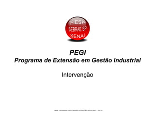 PEGI - PROGRAMA DE EXTENSÃO EM GESTÃO INDUSTRIAL – JUL/10
PEGI
Programa de Extensão em Gestão Industrial
Intervenção
 