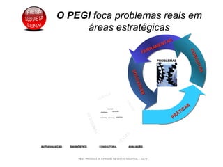 PEGI - PROGRAMA DE EXTENSÃO EM GESTÃO INDUSTRIAL – JUL/10
O PEGI foca problemas reais em
áreas estratégicas
FERRAMENTAS
FERRAMENTAS
CONCEITOS
CONCEITOS
PRÁTICAS
PRÁTICAS
BENEFÍCIOS
BENEFÍCIOS
PROBLEMASPROBLEMAS
REAISREAIS
AUTOAVALIAÇÃOAUTOAVALIAAUTOAVALIAÇÇÃOÃO DIAGNÓSTICODIAGNDIAGNÓÓSTICOSTICO AVALIAÇÃOAVALIAAVALIAÇÇÃOÃO
LIDERAR
LIDERAR
CONTROLAR
CONTROLAR
FAZER
FAZER
VEN
D
ER
VEND
ER
CONSULTORIACONSULTORIA
COLETIVOCOLETIVO
INDIVIDUALINDIVIDUAL
INDIVIDUALINDIVIDUAL
COLETIVOCOLETIVOCOLETIVOCOLETIVO INDIVIDUALINDIVIDUAL
COLETIVOCOLETIVO
INDIVIDUALINDIVIDUAL
INDIVIDUALINDIVIDUAL
COLETIVOCOLETIVOCOLETIVOCOLETIVO INDIVIDUALINDIVIDUAL
 