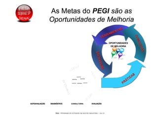 PEGI - PROGRAMA DE EXTENSÃO EM GESTÃO INDUSTRIAL – JUL/10
As Metas do PEGI são as
Oportunidades de Melhoria
FERRAMENTAS
FERRAMENTAS
CONCEITOS
CONCEITOS
PRÁTICAS
PRÁTICAS
BENEFÍCIOS
BENEFÍCIOS
OPORTUNIDADESOPORTUNIDADES
DE MELHORIADE MELHORIA
AUTOAVALIAÇÃOAUTOAVALIAAUTOAVALIAÇÇÃOÃO DIAGNÓSTICODIAGNDIAGNÓÓSTICOSTICO AVALIAÇÃOAVALIAAVALIAÇÇÃOÃO
LIDERAR
LIDERAR
CONTROLAR
CONTROLAR
FAZER
FAZER
VEN
D
ER
VEN
D
ER
CONSULTORIACONSULTORIA
COLETIVOCOLETIVO
INDIVIDUALINDIVIDUAL
INDIVIDUALINDIVIDUAL
COLETIVOCOLETIVOCOLETIVOCOLETIVO INDIVIDUALINDIVIDUAL
COLETIVOCOLETIVO
INDIVIDUALINDIVIDUAL
INDIVIDUALINDIVIDUAL
COLETIVOCOLETIVOCOLETIVOCOLETIVO INDIVIDUALINDIVIDUAL
 