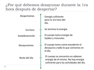 ¿Por qué debemos desayunar durante la 1ra hora después de despertar? 1ra hora Energía suficiente  para la 1ra hora del día. Despertamos Desayunamos Se termina la energía. Autodevoración El cuerpo toma energía de tejidos y músculos. El cuerpo toma como excedente el desayuno y todo lo que comamos en el día. Resto del día El cuerpo se concentra en obtener energía de él mismo. No hay energía suficiente para las actividades del día. 