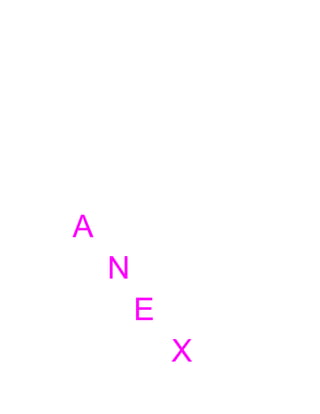 A
N
E
X

 