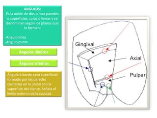 ANGULOS:
Es la unión de dos o mas paredes
o superficies, caras o líneas y se
denominan según los planos que
lo forman:
-Angulo línea
-Angulo punta

Ángulos diedros
Ángulos triedros
Ángulo o borde cavo superficial:
formado por las paredes
cavitarias en la union con la
superficie del diente. Señala el
límite externo de la cavidad.

 
