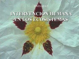 UNIDAD 4.5 INTERVENCIÓN HUMANA EN LOS ECOSISTEMAS 