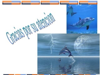 Intervencion educativa