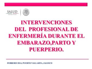 INTERVENCIONES
DEL PROFESIONAL DE
ENFERMERÍA DURANTE EL
EMBARAZO,PARTO Y
PUERPERIO.
FEBRERO 2014, PUERTO VALLARTA, JALISCO
 