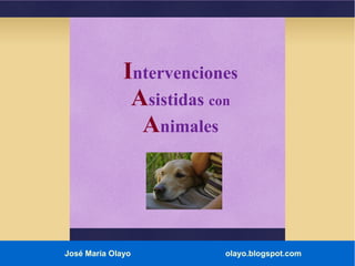Intervenciones
Asistidas con
Animales
José María Olayo olayo.blogspot.com
 