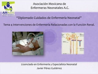 Asociación Mexicana de
                     Enfermeras Neonatales A.C.


         “Diplomado Cuidados de Enfermería Neonatal”

Tema 4 Intervenciones de Enfermería Relacionadas con la Función Renal.




             Licenciado en Enfermería y Especialista Neonatal
                          Javier Pérez Gutiérrez
 