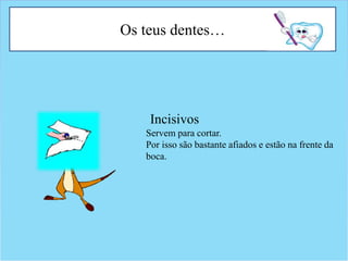 Os teus dentes…
Incisivos
Servem para cortar.
Por isso são bastante afiados e estão na frente da
boca.
 