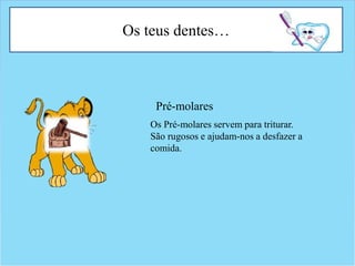 Os teus dentes…
Os Pré-molares servem para triturar.
São rugosos e ajudam-nos a desfazer a
comida.
Pré-molares
 
