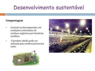 Explorações mineiras