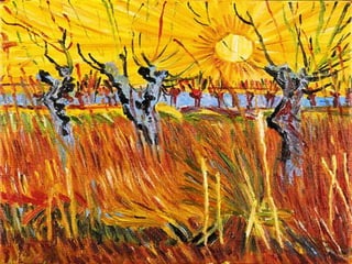 Intervenção em Infecciologia