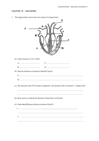 INTERVENTION – BIOLOGY CHAPTER 10 
CHAPTER 10 : TRANSPORT 
1. The diagram below shows the cross section of a human heart. 
E 
S 
(a) Label structures A, B, C and D. 
Q 
P 
C 
A: ……………………………. C: ……………………………….. 
B: ……………………………. D: ……………………………….. 
(b) State the functions of structures labelled P and Q. 
P: ……………………………………………………………………………………………. 
Q: ……………………………………………………………………………………………. 
(c) The muscular wall of D is thicker compared to the muscular wall of structure E. Explain why? 
………………………………………………………………………………………………… 
………………………………………………………………………………………………… 
(d) Draw arrows to indicate the direction of blood flow in the heart. 
(e) Name two differences between structures Q and S . 
1. ………………………………..................................................................................... 
………………………………………………………………………………..……………… 
2. …………………………………………………………………………………………….. 
………………………………………………………………………………………………… 
 