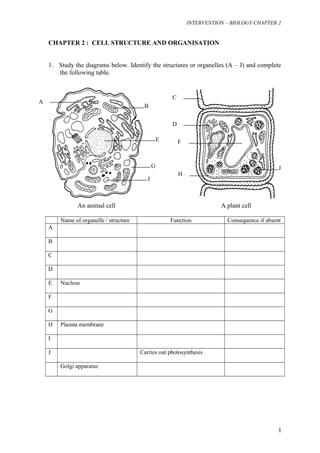 INTERVENTION – BIOLOGY CHAPTER 2 
CHAPTER 2 : CELL STRUCTURE AND ORGANISATION 
1. Study the diagrams below. Identify the structures or organelles (A – J) and complete 
the following table. 
An animal cell A plant cell 
Name of organelle / structure Function Consequence if absent 
A 
B 
C 
D 
E Nucleus 
F 
G 
H Plasma membrane 
I 
J Carries out photosynthesis 
Golgi apparatus 
1 
A 
B 
C 
D 
E F 
G 
H A I 
J 
 